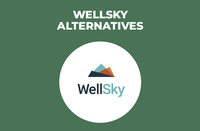 Wellsky Alternatives